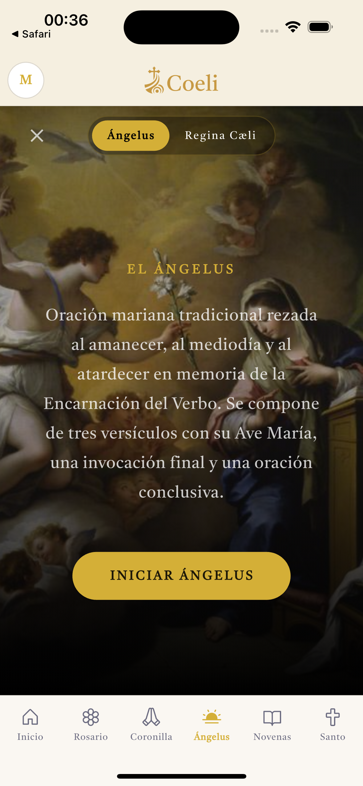 Pantalla del Ángelus en Coeli.