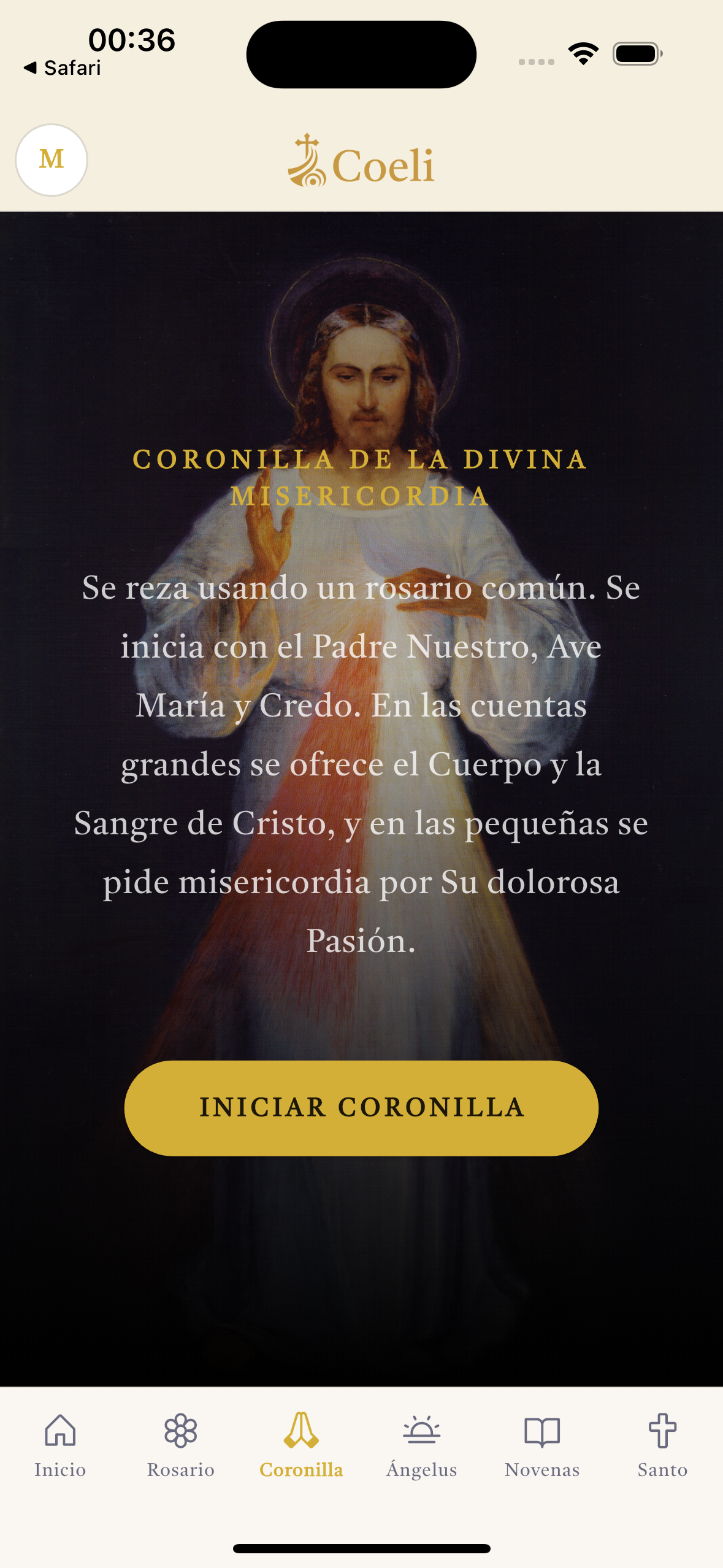 Coronilla de la Divina Misericordia en Coeli.