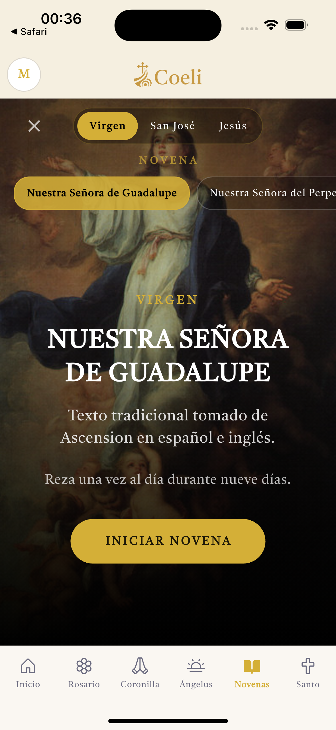 Novena a Nuestra Señora de Guadalupe en Coeli.