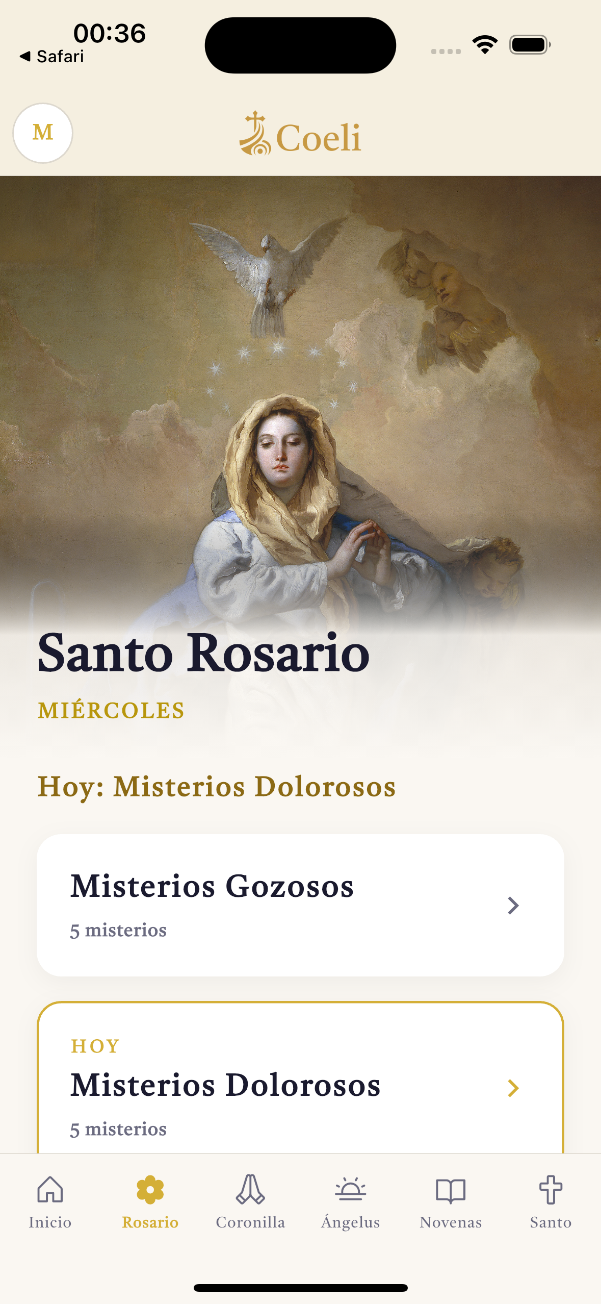 Pantalla del Santo Rosario en Coeli.